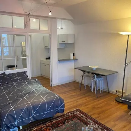 Hyper Centre Apartment Chambery